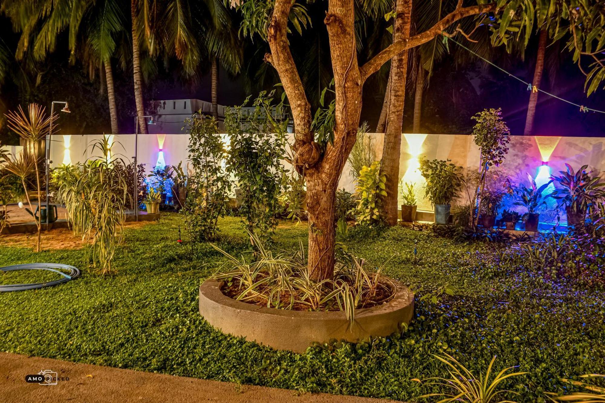 Coconut Villa アルガムベイ エクステリア 写真